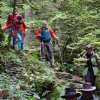09 b Schluchensteig Etappe 4 - 6